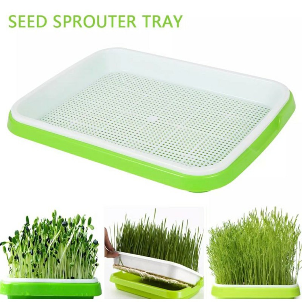 Hydroponic Grow Pod - マイクログリーンスプラウタートレイ水耕/スプラウト園芸水耕システムトレイ庭保育園鉢植え用のスプラウトトレイ