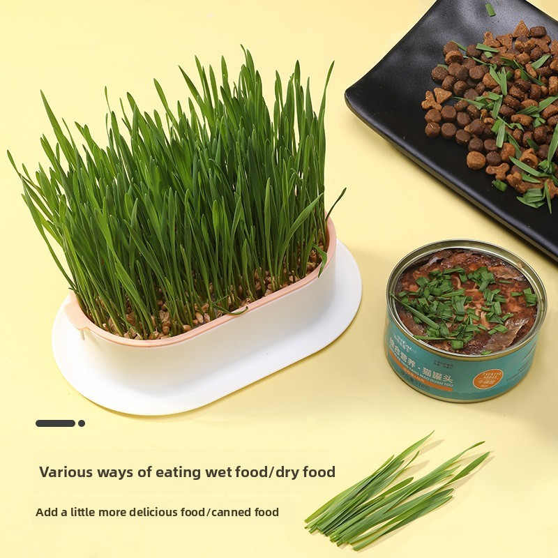 ペット用品 猫のおやつ 猫植え付け 水耕ボックス 猫草ポット - Hydroponic Grow Pod のレビューと価格