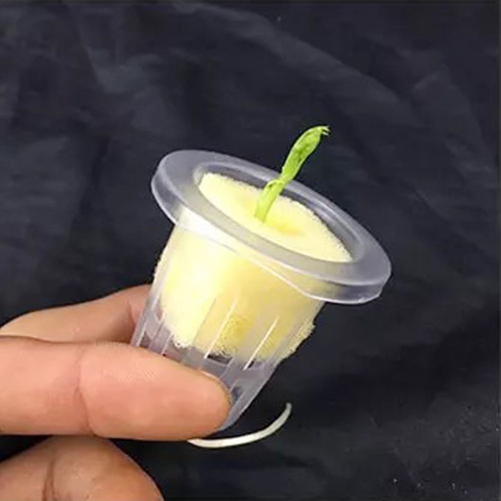 10 個水耕栽培メッシュカップガーデンエアロポニック野菜苗ポ - Hydroponic Grow Pod のレビューと価格