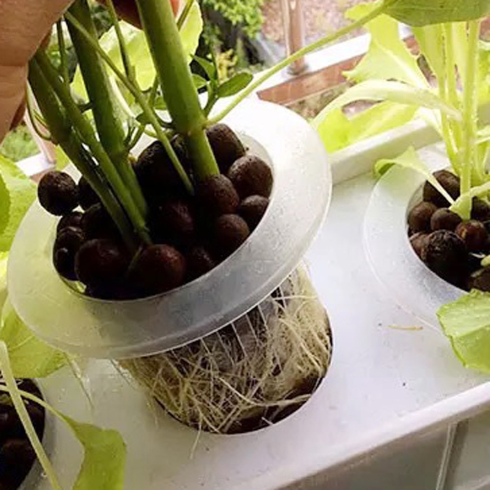 10 個水耕栽培メッシュカップガーデンエアロポニック野菜苗ポ - Hydroponic Grow Pod のレビューと価格