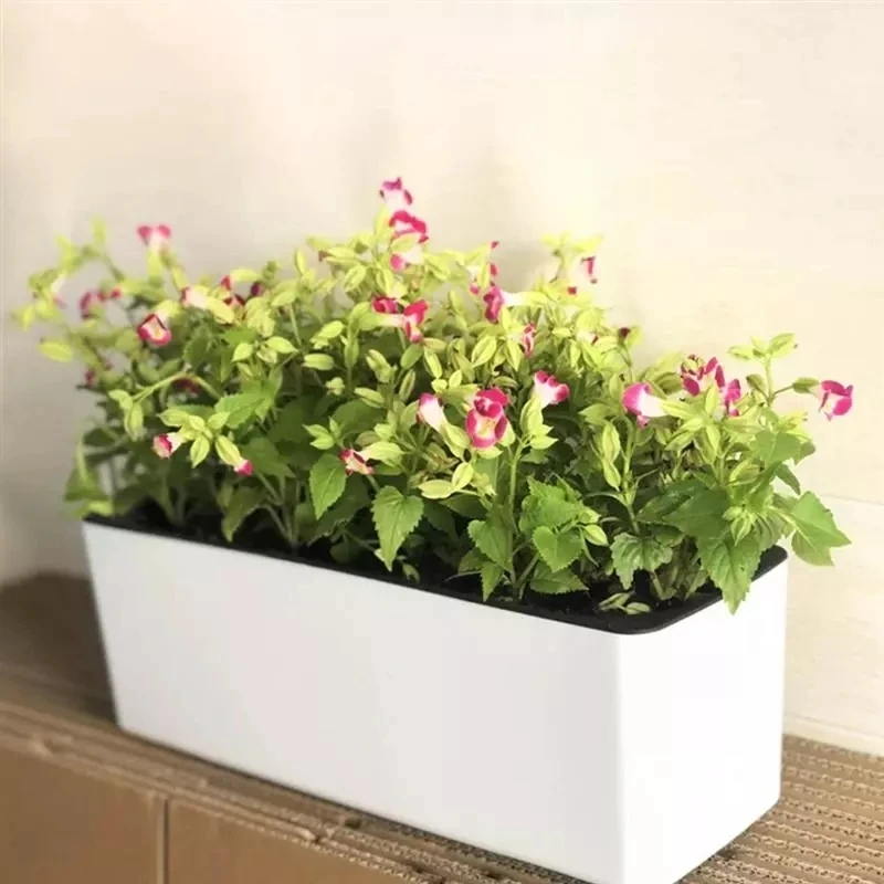 長方形怠惰な植木鉢鉢植え水耕プラスチック植木鉢 + 水位イン - Hydroponic Grow Pod のレビューと価格