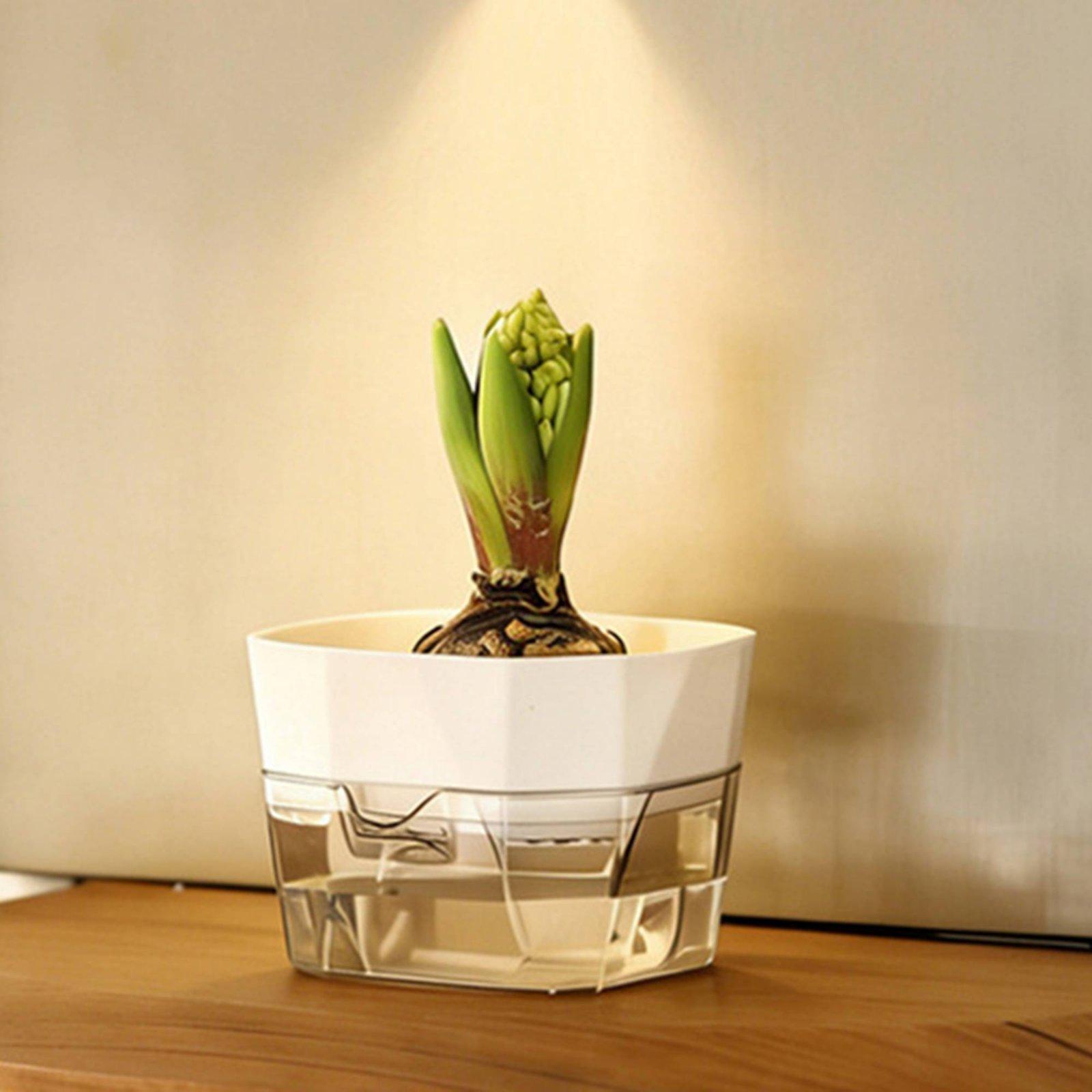 水耕栽培用花瓶 二層式自動給水プランター 透明PET製植木鉢 - Self Watering Planter のレビューと価格
