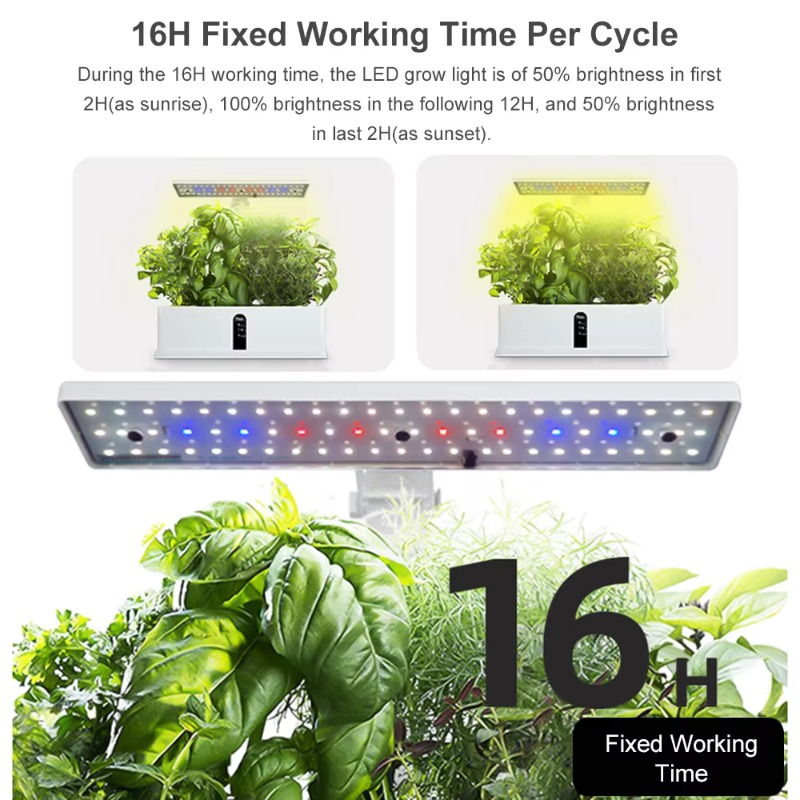 9ポッドスマート水耕栽培システム 室内ガーデンキット 自動タ - Indoor Garden Kit のレビューと価格