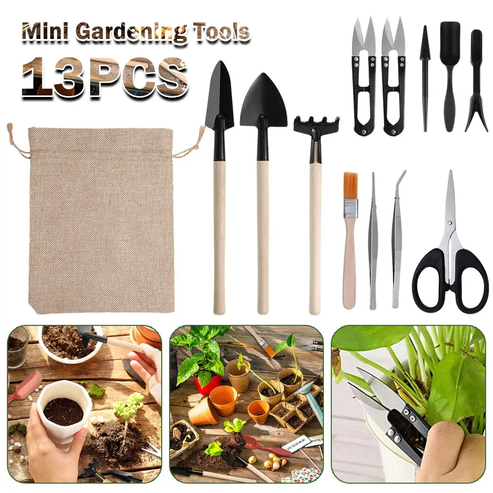 屋内多肉植物ツールセット、黒の鉢植え、サボテンの植物の栽培、 - Indoor Garden Kit のレビューと価格