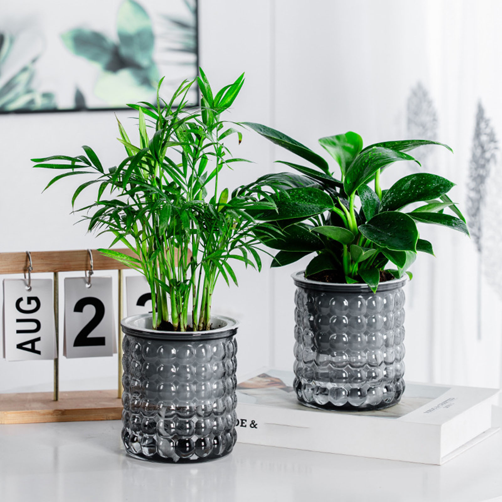 水耕栽培の植木鉢,プラスチック製の多肉植物プランター,卓上花 - Hydroponic Grow Pod のレビューと価格